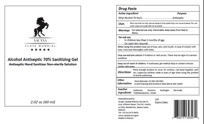 Image Description (60ml Gel)